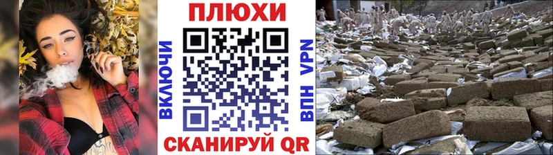 Гашиш Изолятор Сунжа