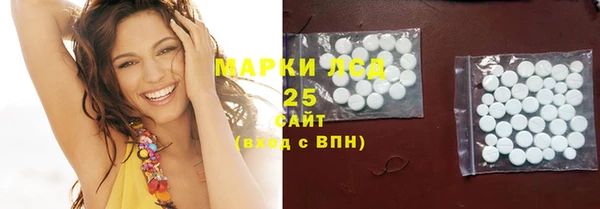 PSILOCYBIN Магас