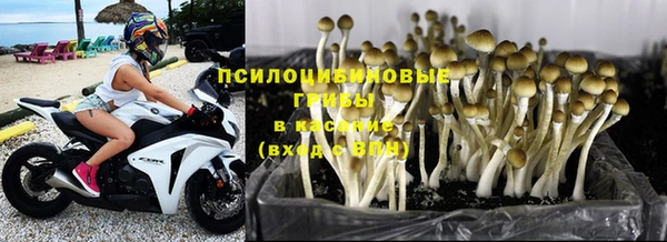 круглые Лиски