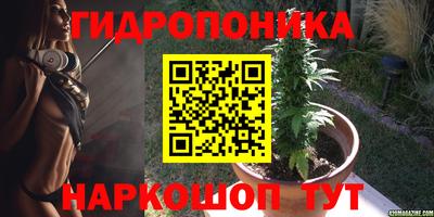 дмт Заводоуковск