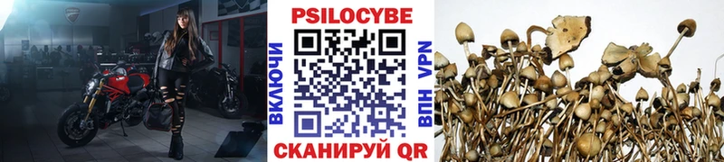 Галлюциногенные грибы Cubensis Сунжа