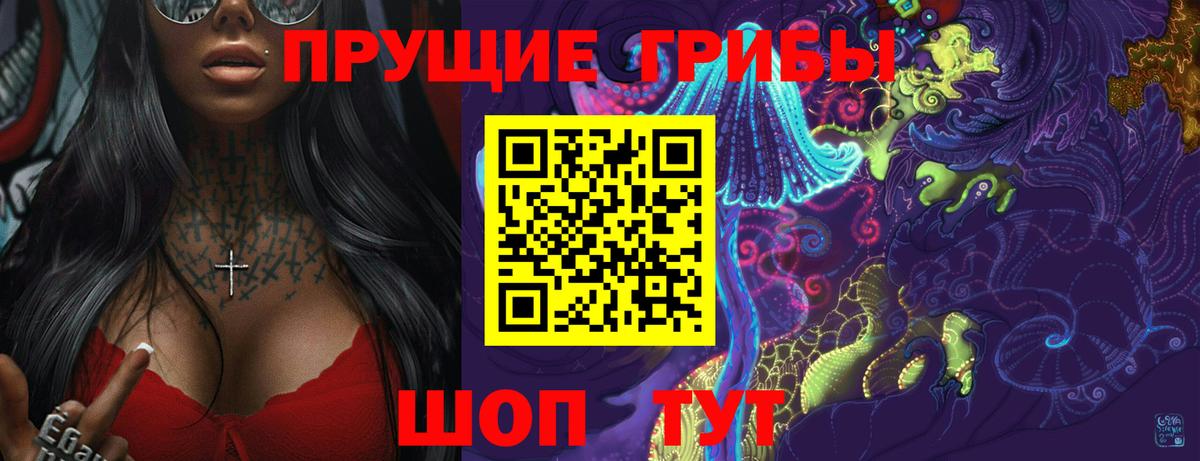 купить  сайты  Псилоцибиновые грибы Cubensis  Сунжа  Вход с VPN  Галлюциногенные грибы Psilocybine cubensis 