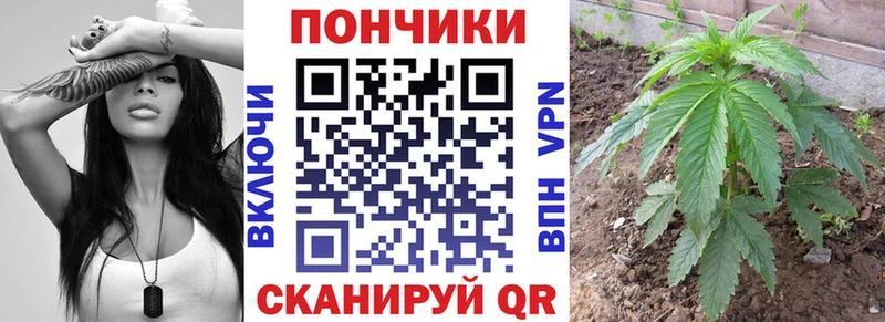 наркота Сунжа мега ССЫЛКА Шишки марихуана VHQ